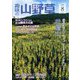 趣味の山野草 2023年 08月号 [雑誌]