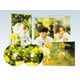 劇場版 美しい彼～eternal～ 豪華版 [Blu-ray Disc]