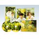 劇場版 美しい彼～eternal～ 豪華版 [DVD]