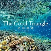The Coral Triangle―密林珊瑚 [単行本]