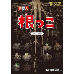 ずかん根っこ―見ながら学習調べてなっとく [図鑑]