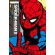 ベスト・オブ・スパイダーマン〈2〉―THE BEST OF SPIDER-MAN(ShoPro Books) [コミック]