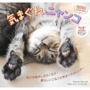 2024 気まぐれニャンコカレンダー [カレンダー]