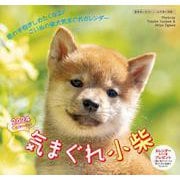 2024 気まぐれ小柴カレンダー [カレンダー]