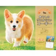 癒やしのウェルシュ・コーギー(インプレスカレンダー2024) [カレンダー]