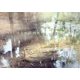 あべとしゆき水彩画集―Abe Toshiyuki Watercolor Painting Book [単行本]
