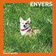Junichi Igarashi／ENVERS