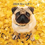2024年カレンダー パグ(誠文堂新光社カレンダー) [カレンダー]