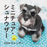 2024年カレンダー ミニチュア・シュナウザー(誠文堂新光社カレンダー) [カレンダー]