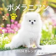2024年カレンダー ポメラニアン(誠文堂新光社カレンダー) [カレンダー]