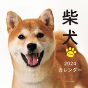 2024年カレンダー 柴犬(誠文堂新光社カレンダー) [カレンダー]