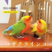 2024年カレンダー コザクラインコ(誠文堂新光社カレンダー) [カレンダー]
