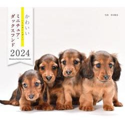2024年カレンダー かわいいミニチュア・ダックスフンド(誠文堂新光社カレンダー) [カレンダー]