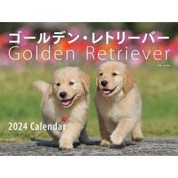 2024年カレンダー ワイド判 ゴールデン・レトリーバー(誠文堂新光社カレンダー) [カレンダー]