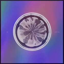 XG／NEW DNA