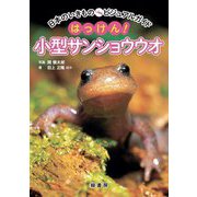 はっけん!小型サンショウウオ(日本のいきものビジュアルガイド) [図鑑]