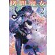 拷問魔女〈2〉(ヒーロー文庫) [文庫]