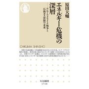 エネルギー危機の深層―ロシア・ウクライナ戦争と石油ガス資源の未来(ちくま新書) [新書]