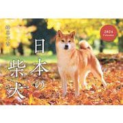 日本の柴犬カレンダー 2024 [カレンダー]