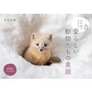 北の森に生きる愛らしい動物たちの素顔カレンダー 2024 [カレンダー]
