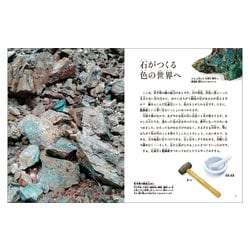 ヨドバシ.com - 月刊 たくさんのふしぎ 2023年 10月号 いろいろ