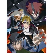 BORUTO-ボルト- NARUTO NEXT GENERATIONS DVD-BOX17 【迷宮遊戯編/サスケ烈伝/コード襲来編】