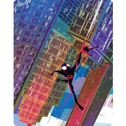 ヨドバシ.com - スパイダーマン:アクロス・ザ・スパイダーバース