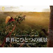 ナショナル ジオグラフィック カレンダー2024　世界にひとつの風景－Beautiful Landscapes [カレンダー]