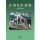 左川ちか詩集(岩波文庫) [文庫]