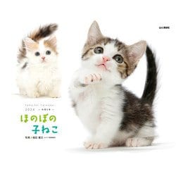 ヨドバシ.com - ほのぼの子ねこカレンダー 2024 [カレンダー] 通販