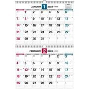 【K13】　2024年　ダブルリング式 2ヵ月シンプルカレンダー　B3－ひと目でわかる 2ヵ月タイプ(永岡書店の壁掛けカレンダー) [カレンダー]