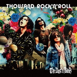 The DUST'N'BONEZ／1000のロックンロール