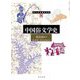 中国俗文学史(東方学術翻訳叢書) [単行本]