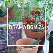 NTVM Music Library ドラマBGM74