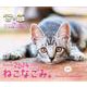 ねこなごみ。卓上カレンダー2024 [カレンダー]