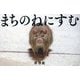 まちのねにすむ [単行本]