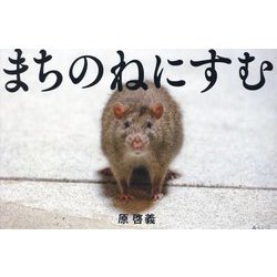 まちのねにすむ [単行本]