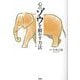 心のゾウを動かす方法 [単行本]