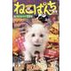 ねこぱんち　パンプキン猫号(にゃんCOMI) [コミック]