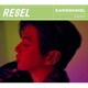 KANGDANIEL／RE8EL