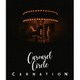 カーネーション／Carousel Circle