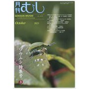 月刊 むし 2023年 10月号 [雑誌]