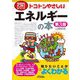 トコトンやさしいエネルギーの本 第3版 (B&Tブックス―今日からモノ知りシリーズ) [単行本]