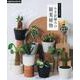 刺しゅう糸で編む　かぎ針編みの観葉植物(アップルミンツ) [単行本]