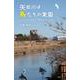矢田川は鳥たちの楽園－したたかに生きる「都会っ子」たち [単行本]