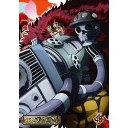 ONE PIECE ワンピース 20THシーズン ワノ国編 PIECE.48 [DVD]