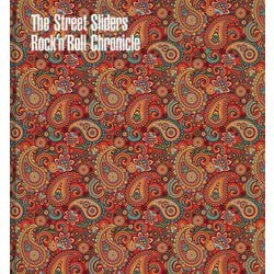 The Street Sliders Rock'n'Roll Chronicle [単行本]