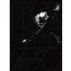 宮本浩次／ロマンスの夜 [DVD]