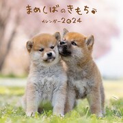 まめしばのきもちカレンダー 2024 [カレンダー]