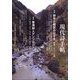 現代詩手帖 2023年 10月号 [雑誌]
